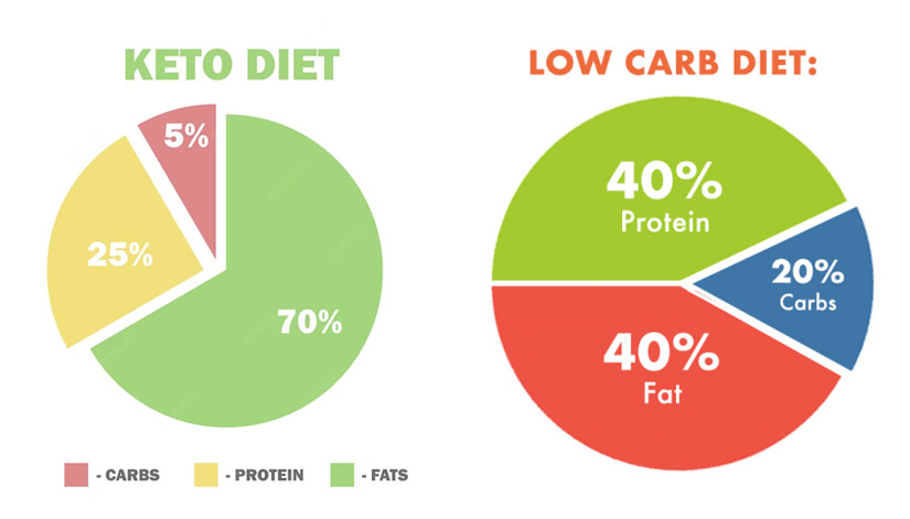 Content: Differences Between the Keto Diet and the Low-Carb Diet