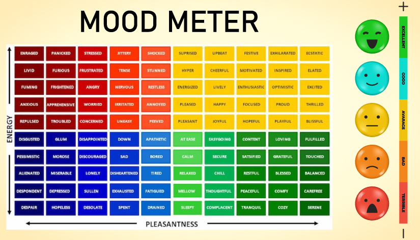 Mood Meter – Ketobalanced