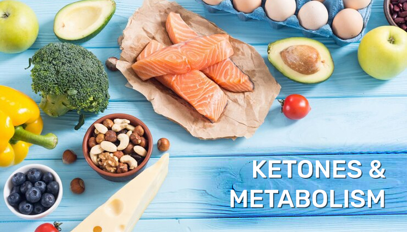 KETONES AND METABOLISM: The Science Behind